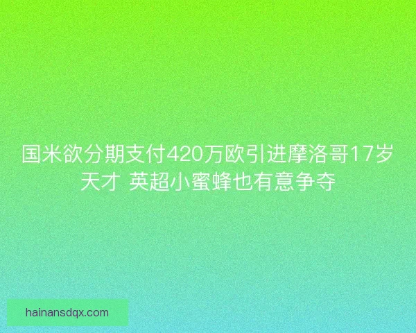 国米欲分期支付420万欧引进摩洛哥17岁天才 英超小蜜蜂也有意争夺
