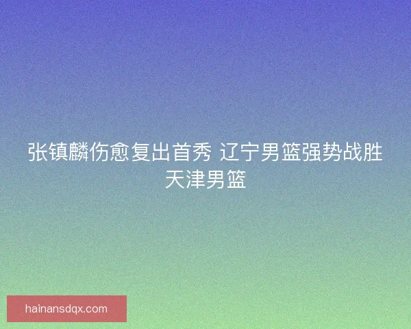 张镇麟伤愈复出首秀 辽宁男篮强势战胜天津男篮